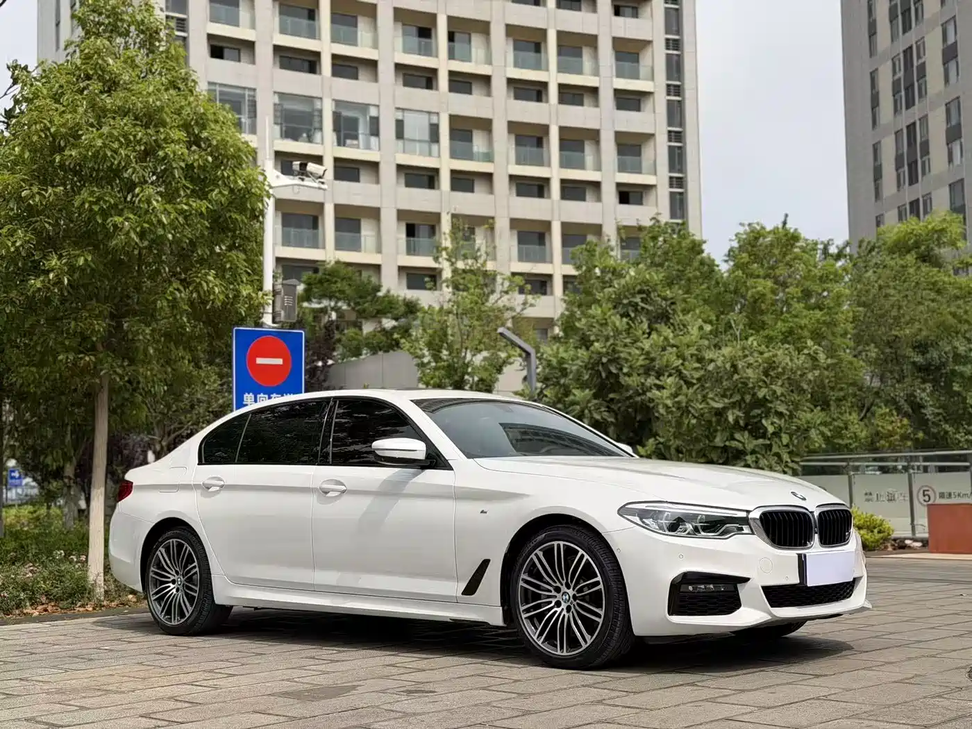 BMW 5 Series 2019 530Li Premium M Sport Package фото 3