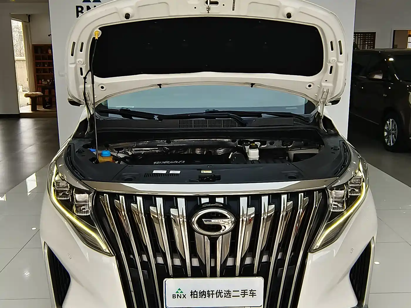 GAC Trumpchi Trumpchi M8 2021 Master Series 390T Prestige Edition фото 25