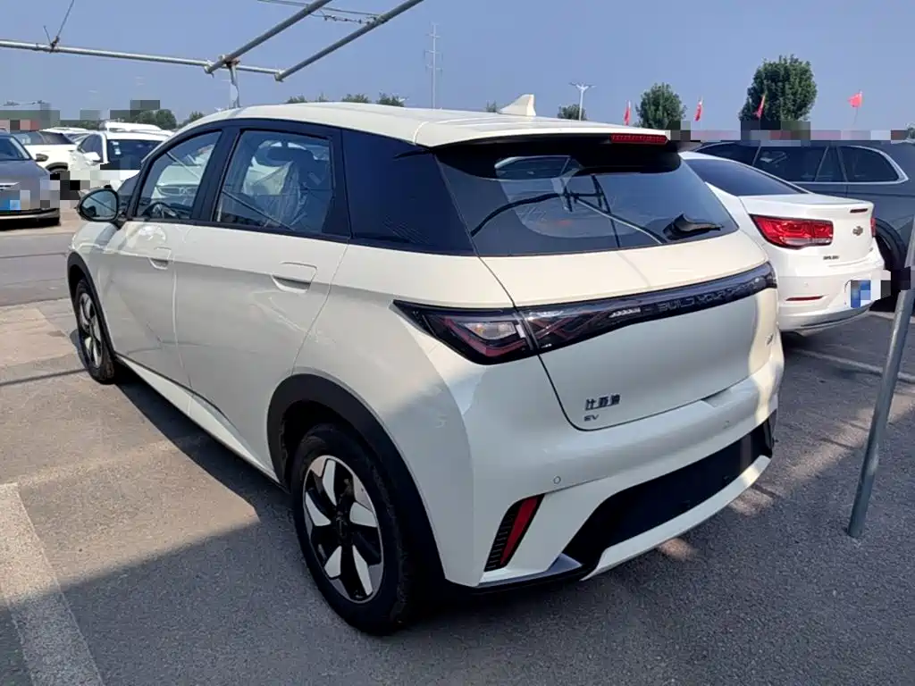 BYD Dolphin 2026 2025 420km Freedom Edition