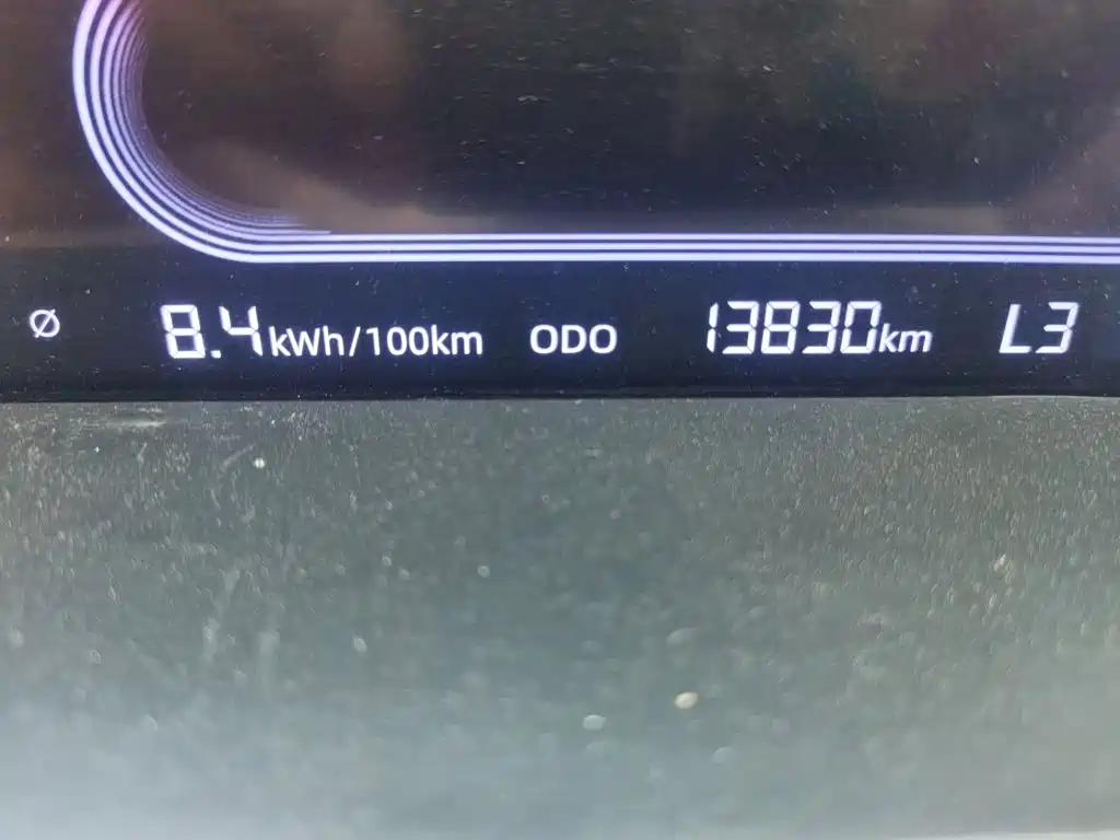 Geely Galaxy Panda 2023 2023 Panda Mini 200km Endurance Bear