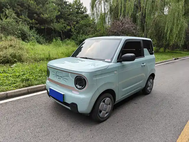 Geely Galaxy Panda 2024 Panda mini 200km Endurance Bear