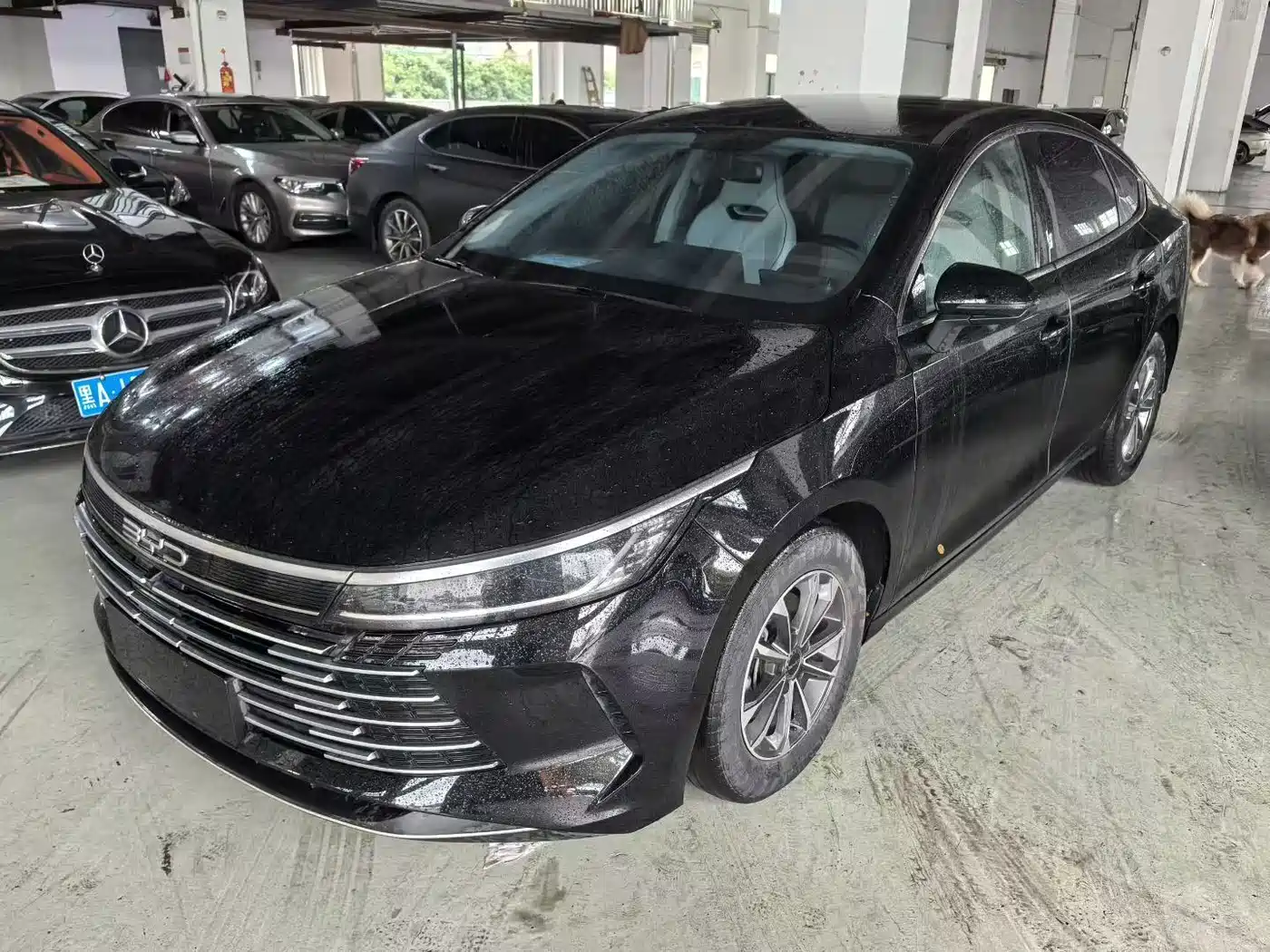 BYD Destroyer 05 2023 Champion Edition DM-i 55KM Luxury