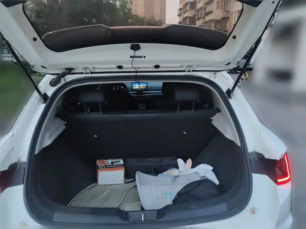 BYD e2 2019 Standard Range Intelligent Comfort фото 16