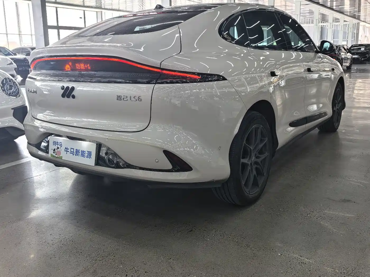 IM Motors IM LS6 2024 2025 Long Range Gecko Smart Drive Edition