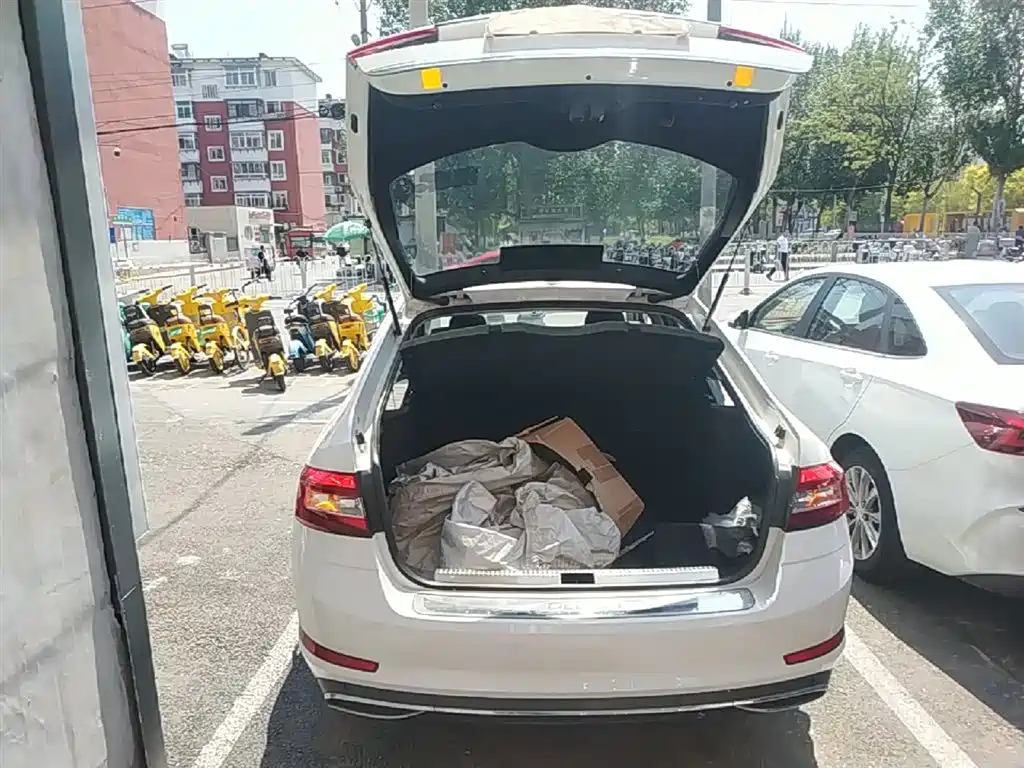 Škoda Octavia 2018 TSI230 DSG Luxury Edition фото 19