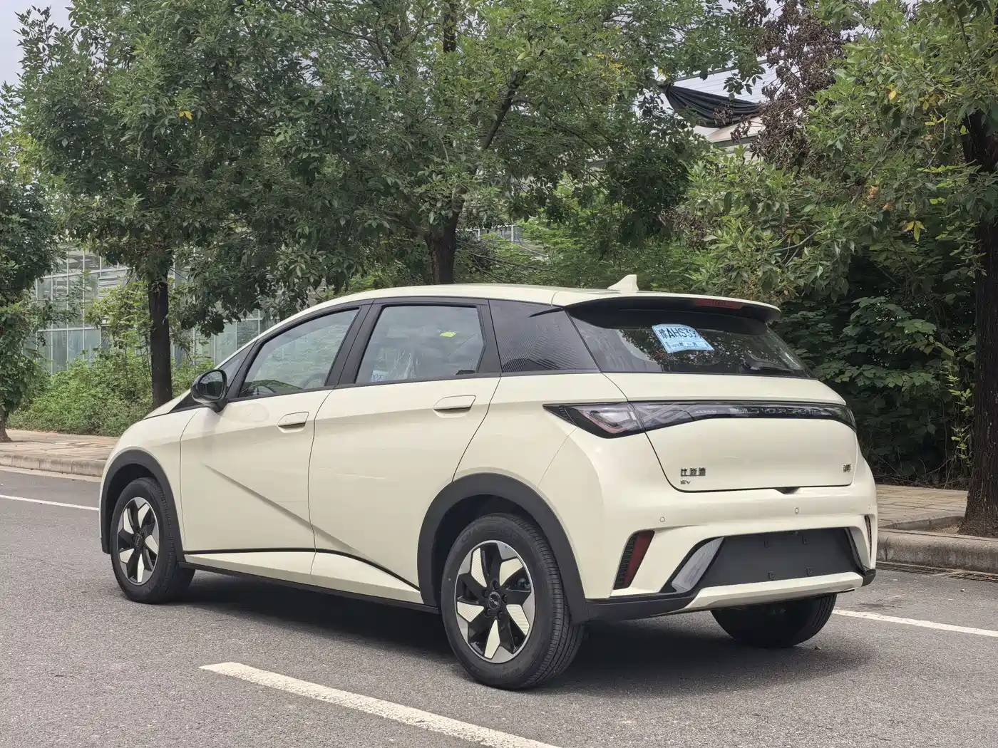 2026 BYD Dolphin