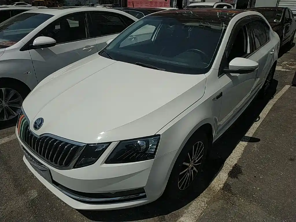 Škoda Octavia 2018 TSI230 DSG Luxury Edition фото 2