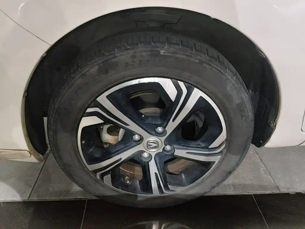 Changan Benben E-Star 2021 2020 Heartbeat Edition (NMC Battery)