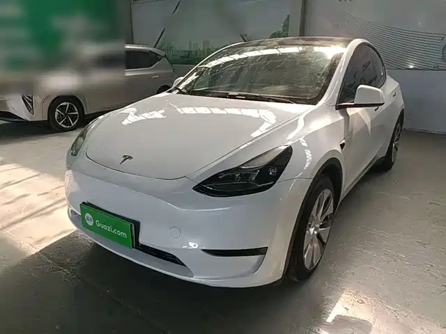 Tesla Model Y Задний привод