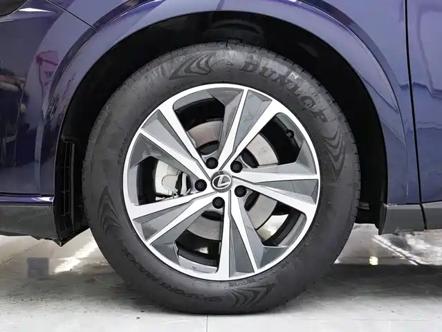 Lexus RX 2025 300 4WD Premium Edition — фото 5