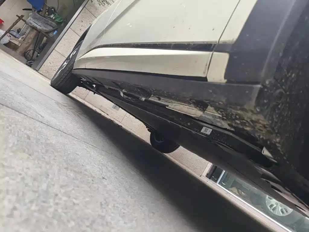 BYD Dolphin 2026 2025 420km Freedom Edition