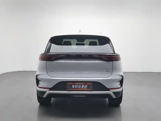 BYD Tang New Energy 2025 Smart Driving Edition DM-i 115KM Premium — фото 4