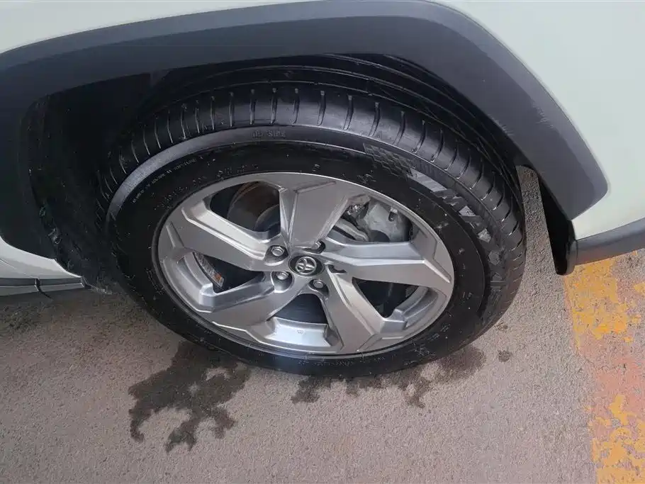 Toyota RAV4 Rongfang 2020 2.0L CVT 2WD Trend Edition фото 6