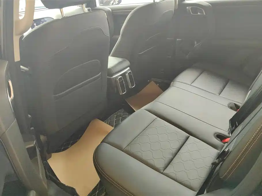Haval Big Dog 2024 1.5T DCT Border Collie Edition фото 11