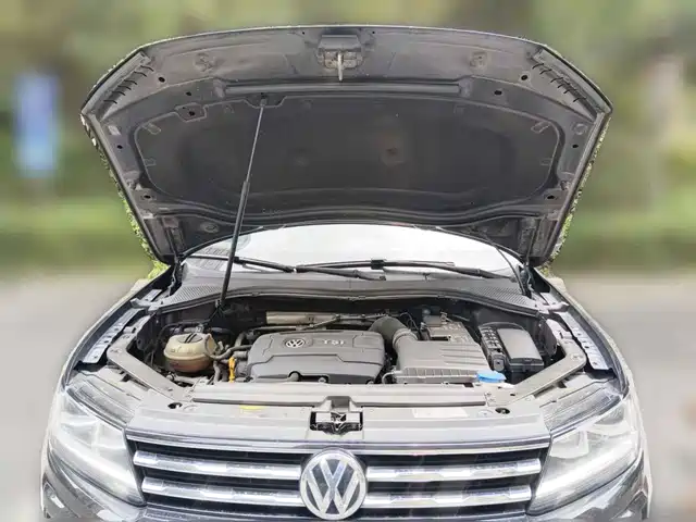 Volkswagen Tiguan L 2017 330TSI Automatic 2WD Luxury Edition — фото 3