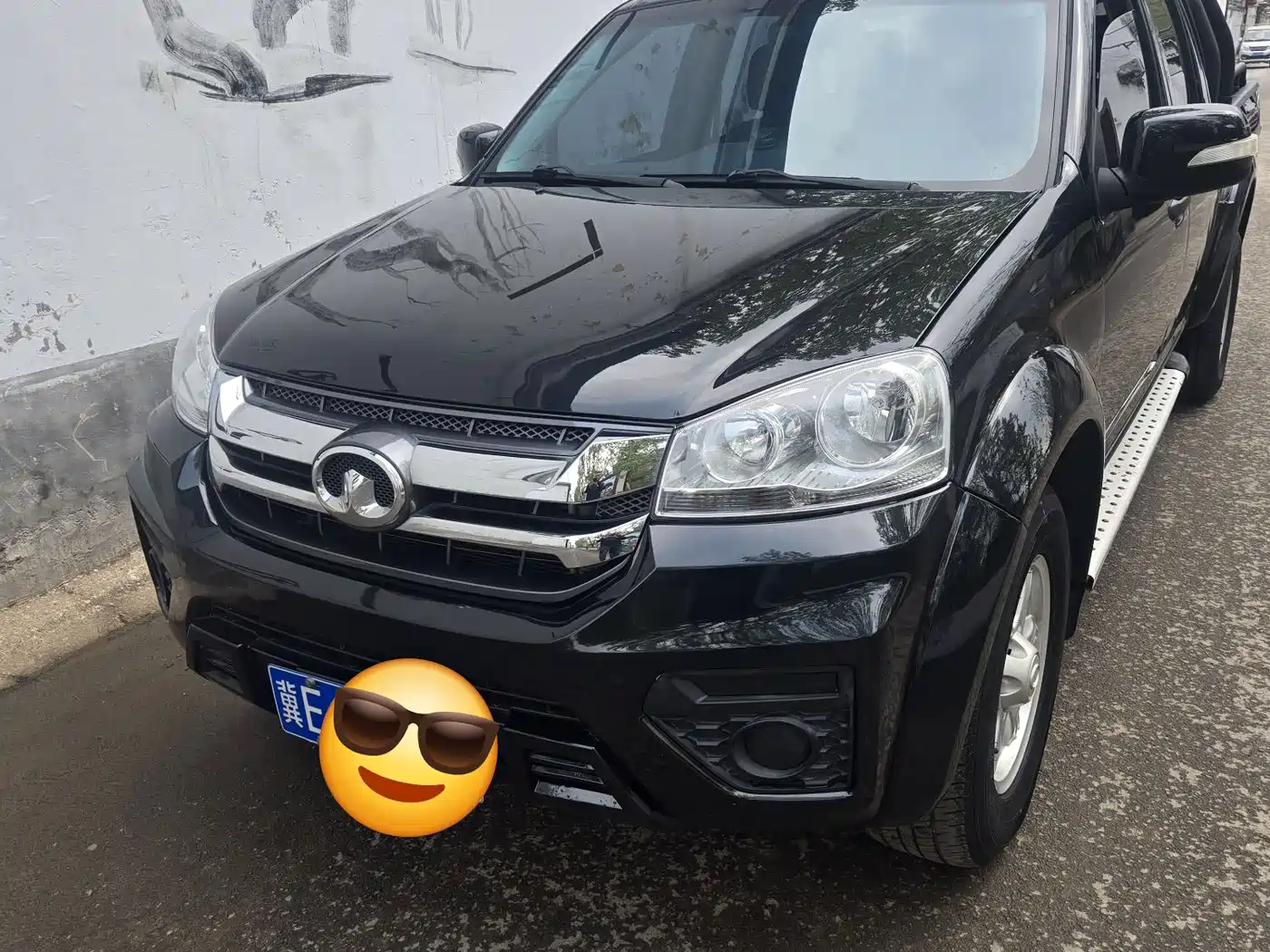 GREAT WALL FENGJUN 5