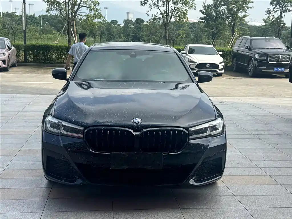 BMW 5 Series, миниатюра 2