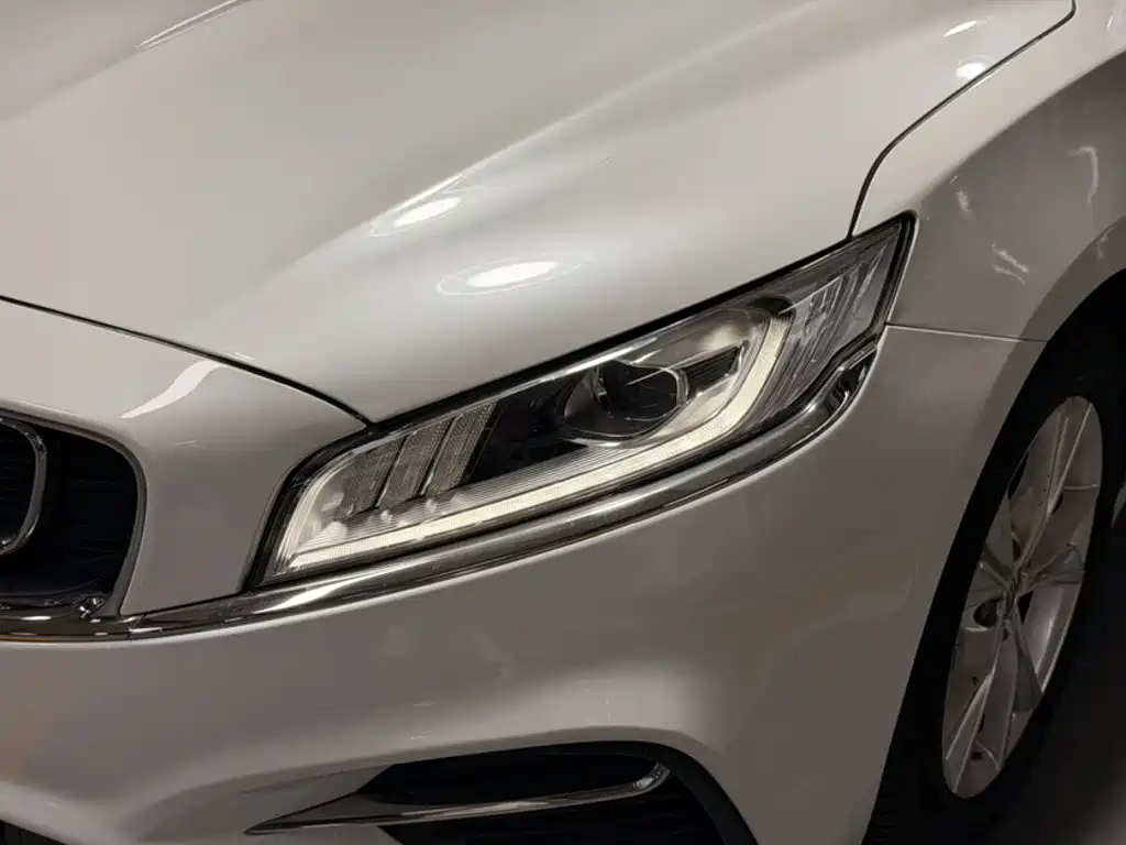 Фото 3 - Geely Borui