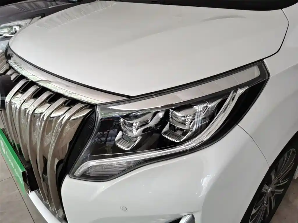 GAC Trumpchi Trumpchi M8 2021 Master Series 390T Prestige Edition фото 24