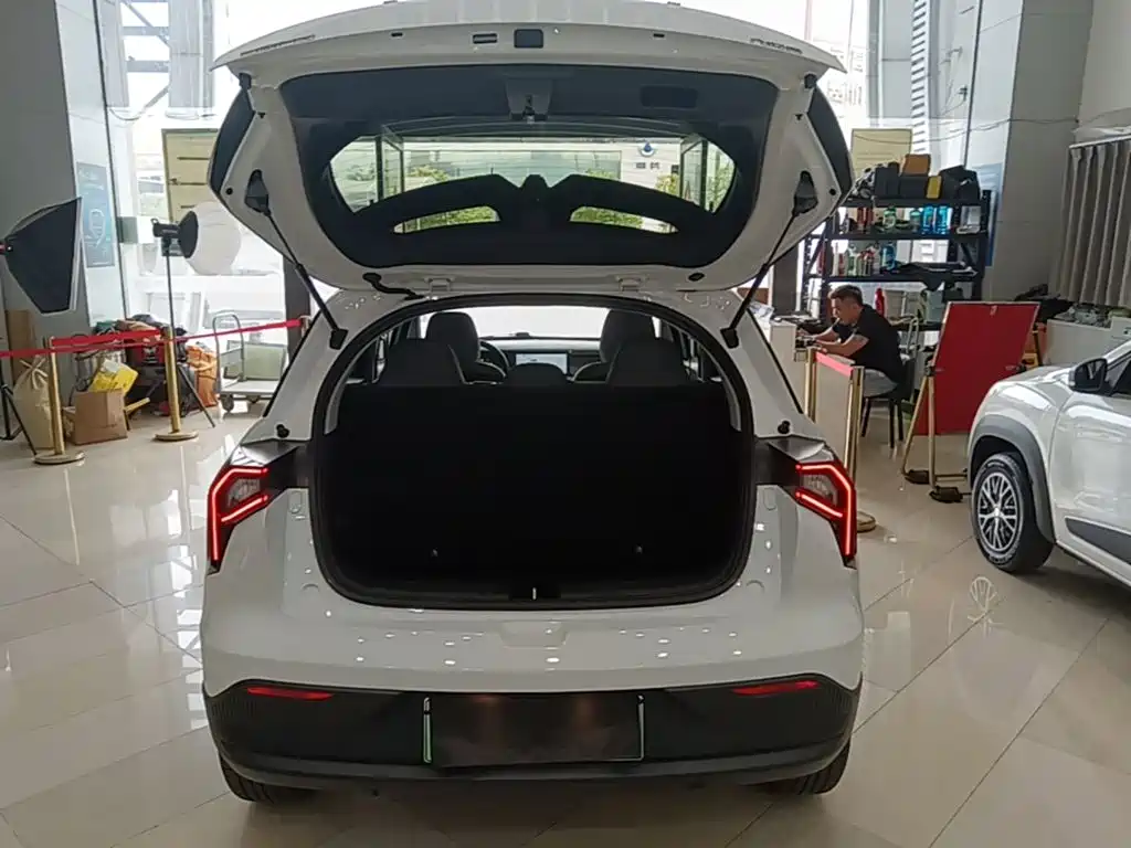 Geely Geometry E Firefly 2024 2024 Model 301km Light Flow