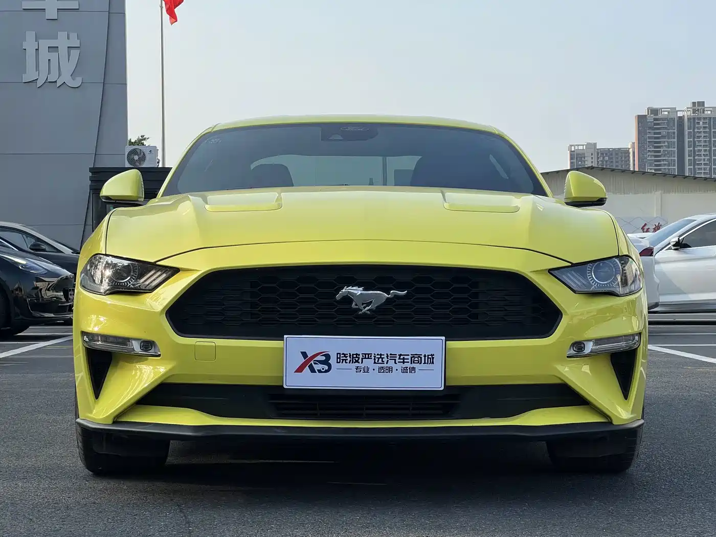 Фото 2 - Ford Mustang