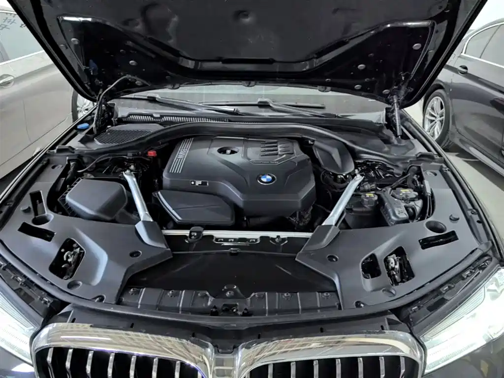 BMW 5 Series 2022 Facelift II 530Li Luxury Trim Premium Package фото 20