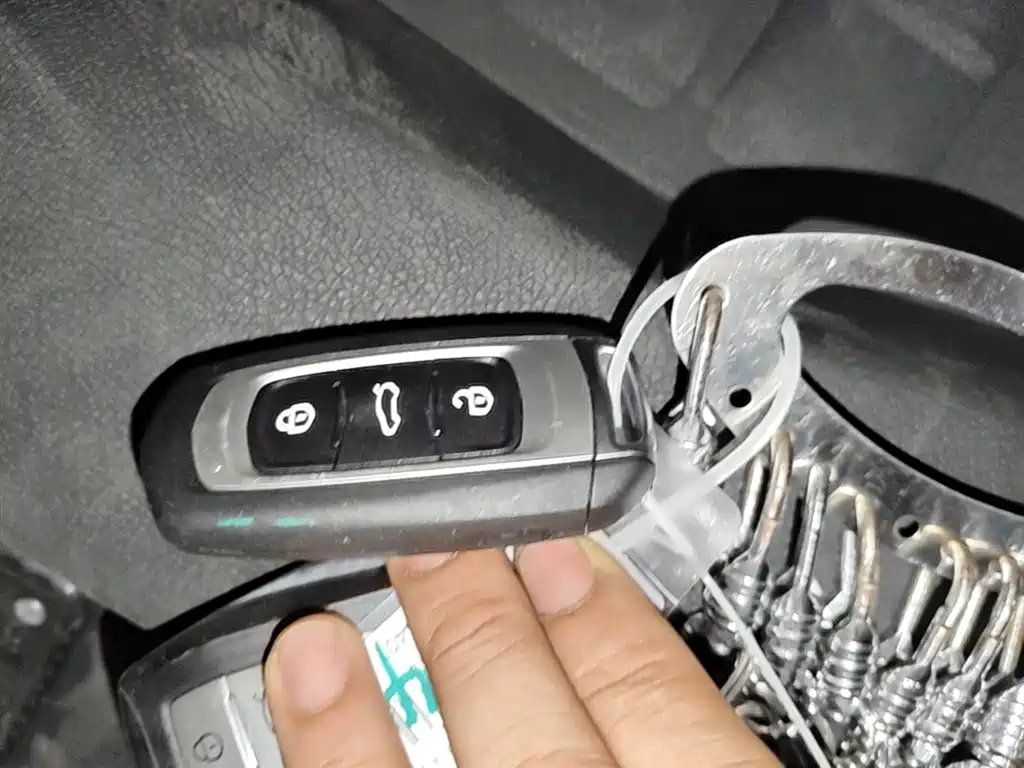 Ruilan Auto Ruilan Blue Elf 2026 2025 Base Model