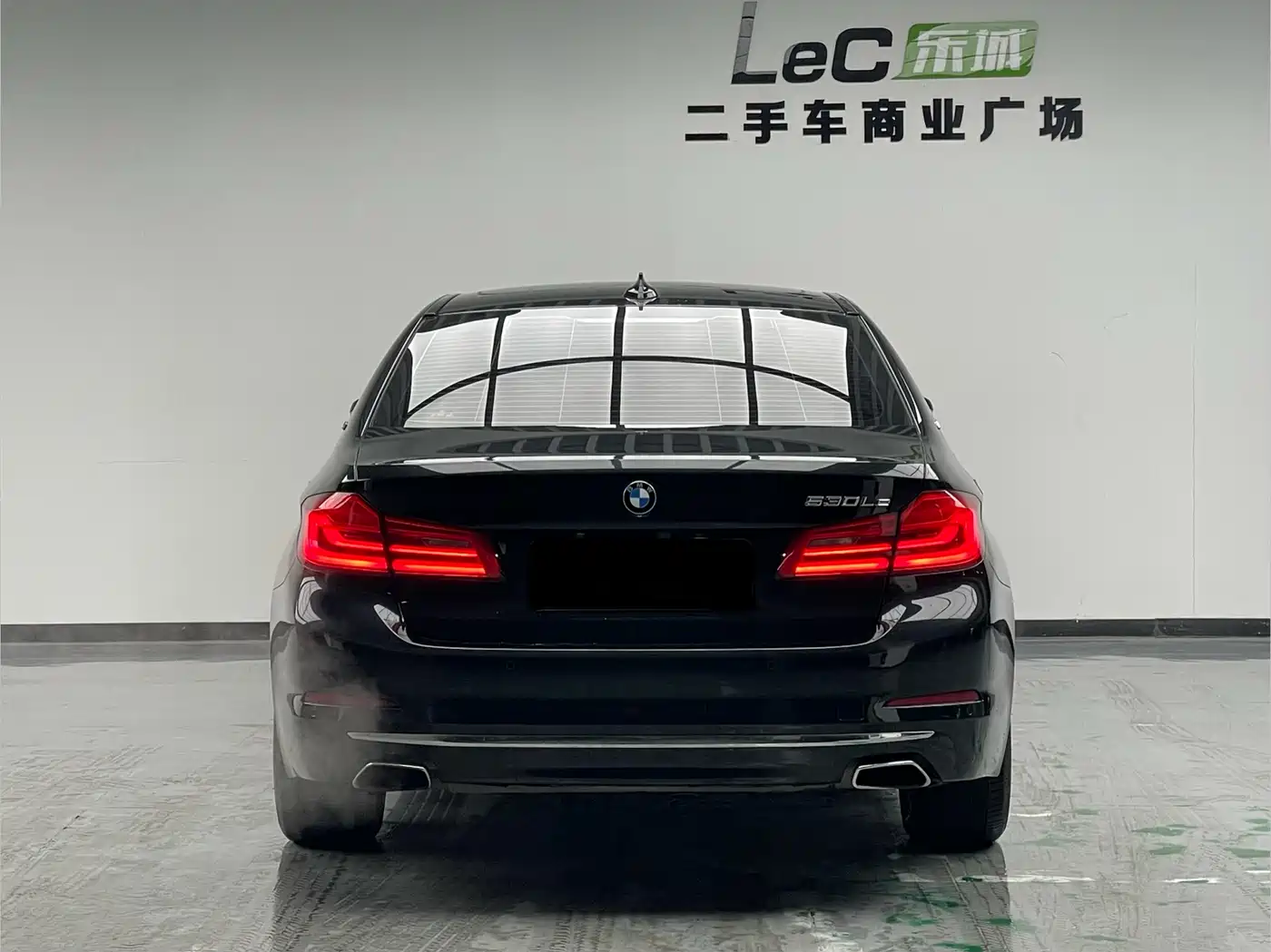 BMW 5 Series New Energy 2019 530Le Pioneer Edition фото 5