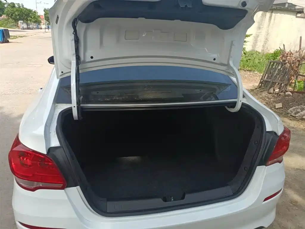 Chevrolet Cavalier 2018 320 Auto Enjoy Sunroof Edition фото 19