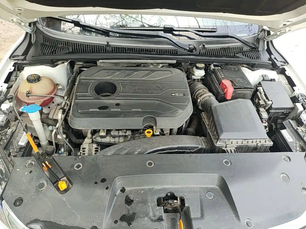 Фото 20 - Geely Binrui