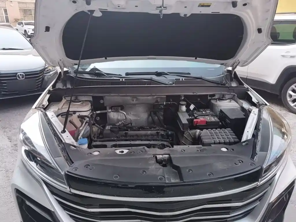 Cowin Xuanjie 2022 2021 1.5L CVT Premium Edition