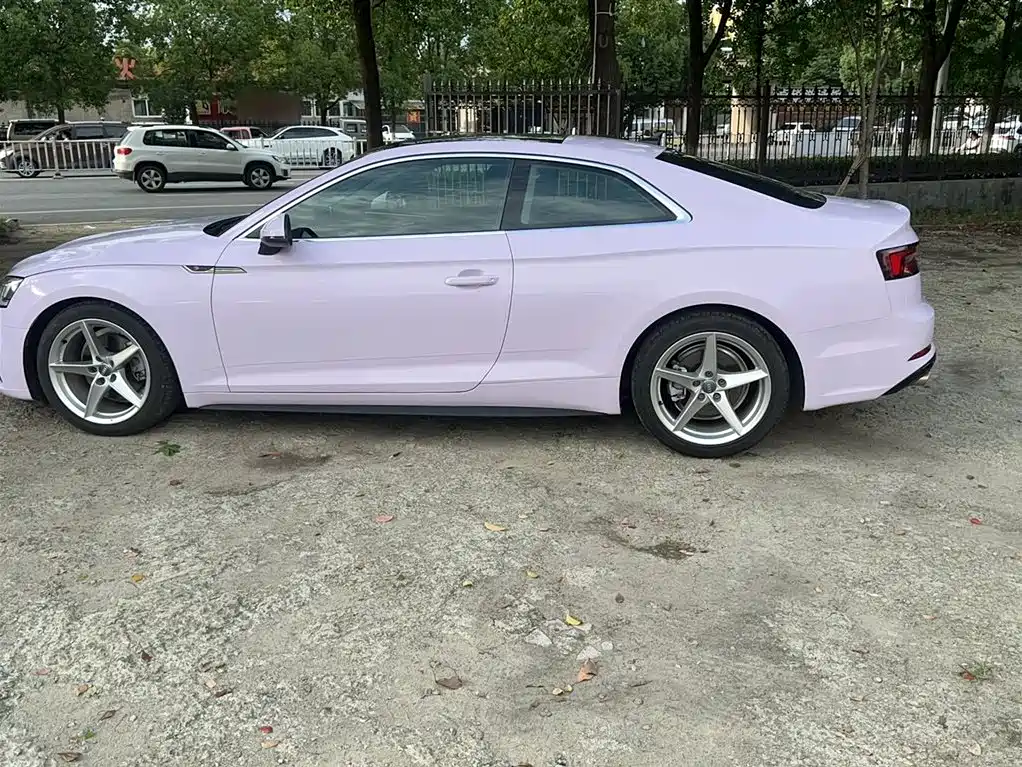 Audi A5 (Import) 2020 Coupe 40 TFSI Fashion (China VI) фото 7