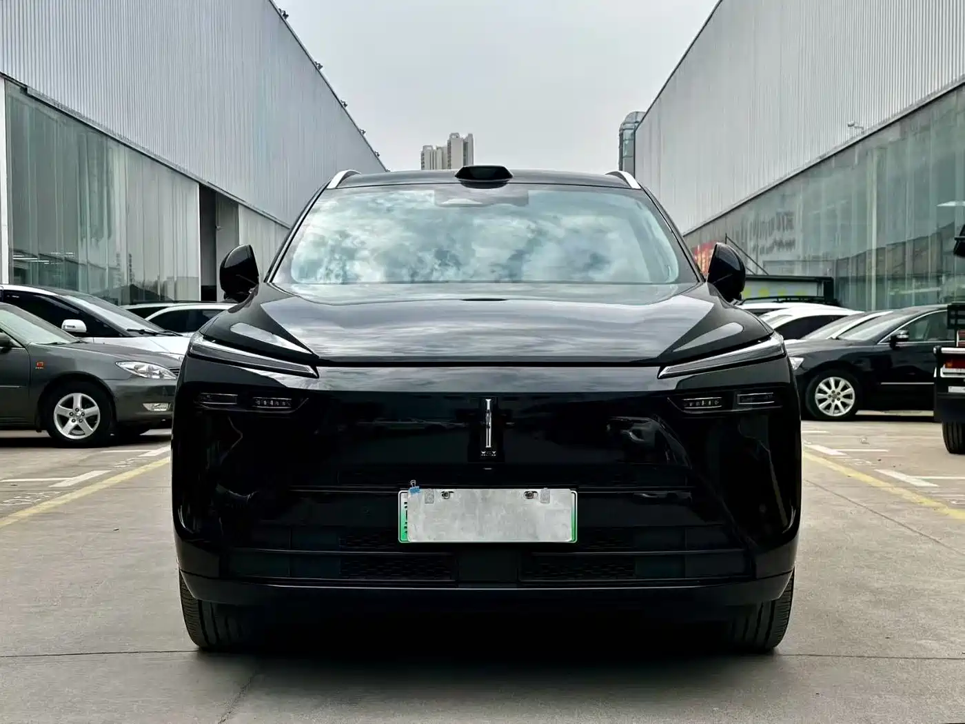 WEI PAI WEI BRAND BLUE MOUNTAIN