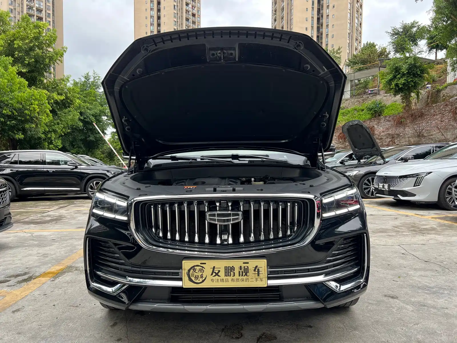 Фото 4 - Geely Monjaro