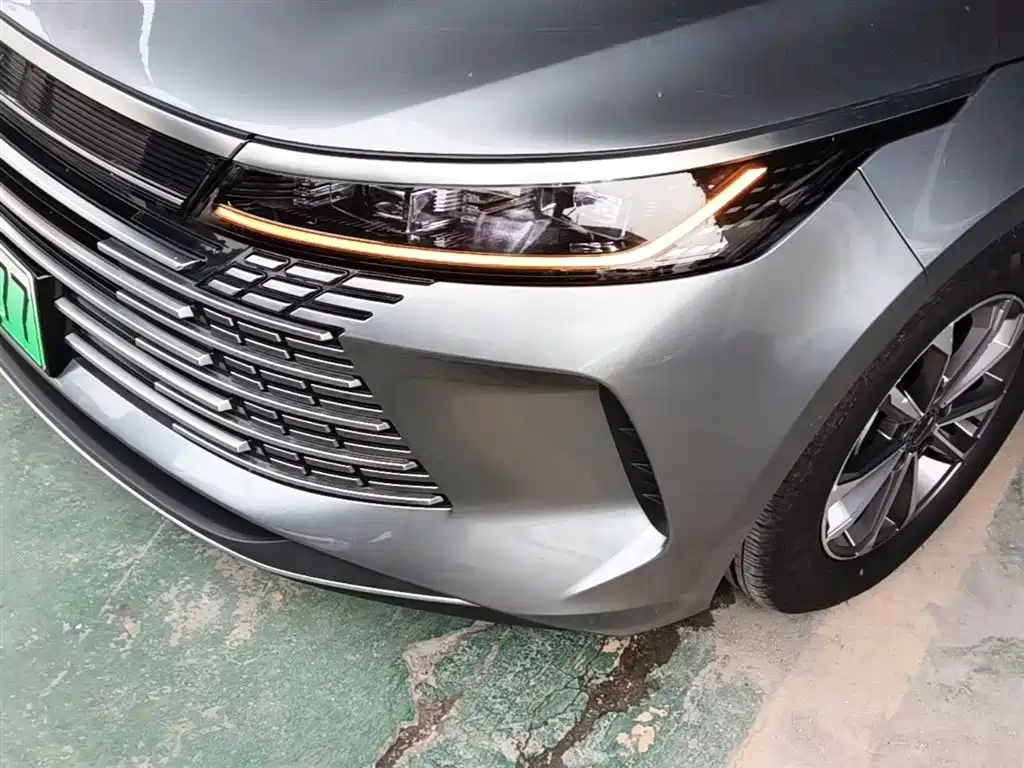 BYD Destroyer 05 2024 Glory Edition DM-i 55KM Luxury фото 24