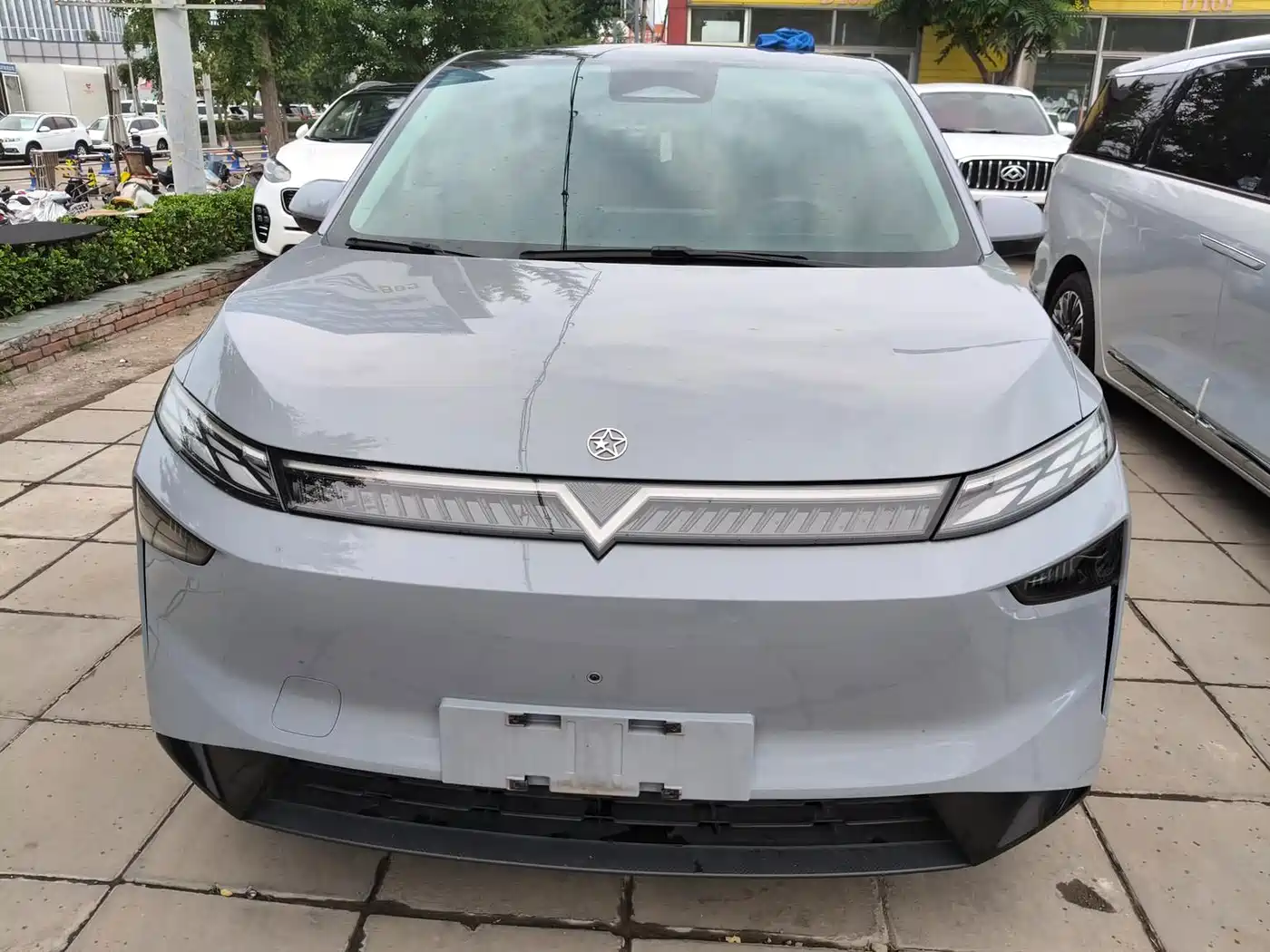 2024 Venucia VX6