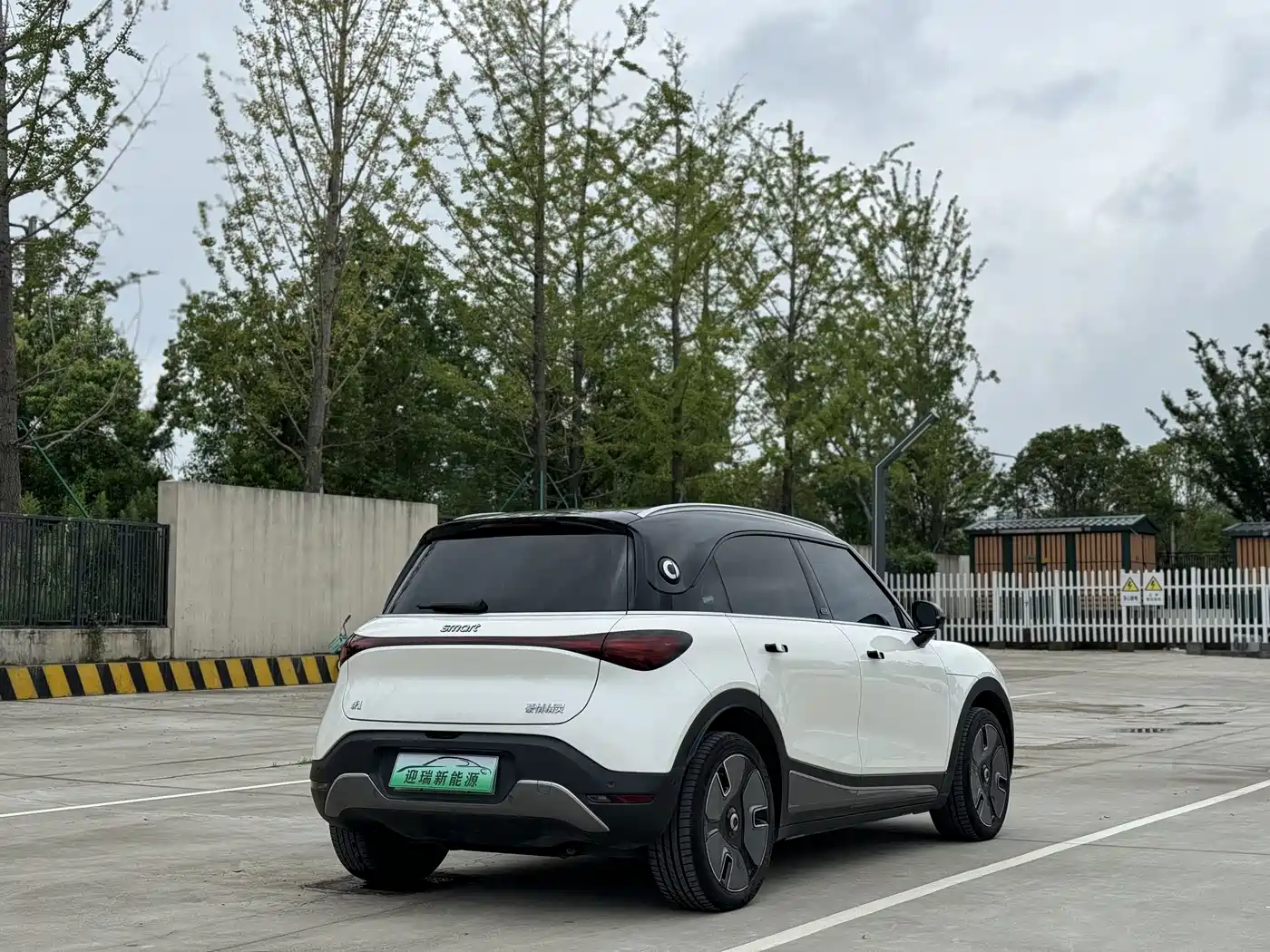 smart Elf #1 2023 2022 Premium Edition