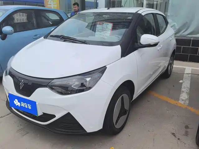  JMCG New Energy Little Kirin 2024 201km Comfort Model