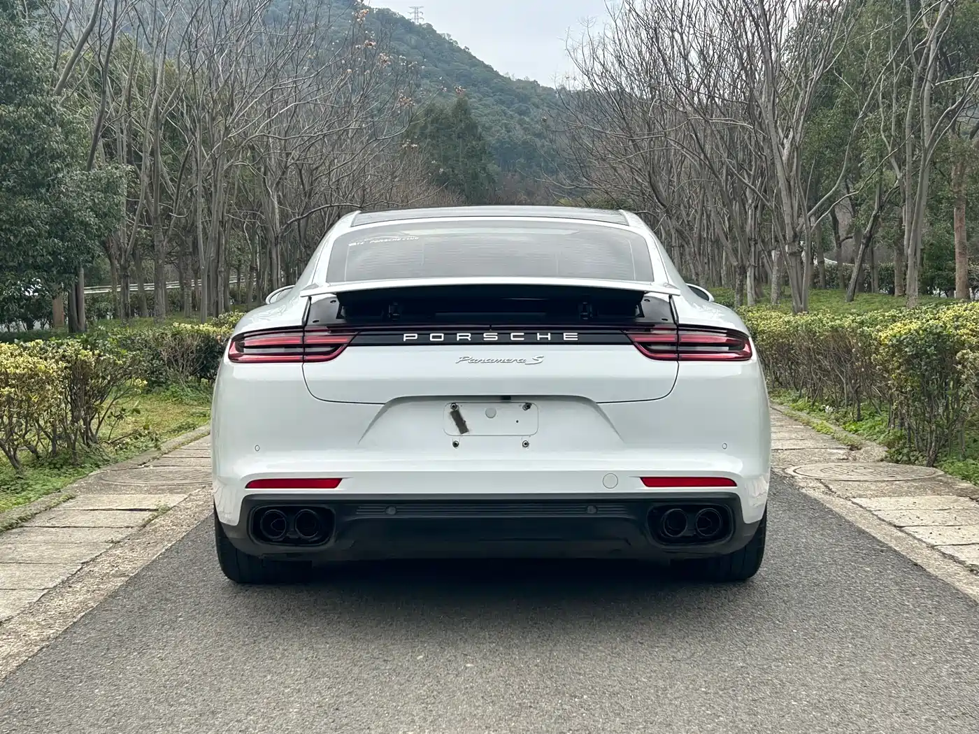 Porsche Panamera 2019 Panamera 2.9T фото 4