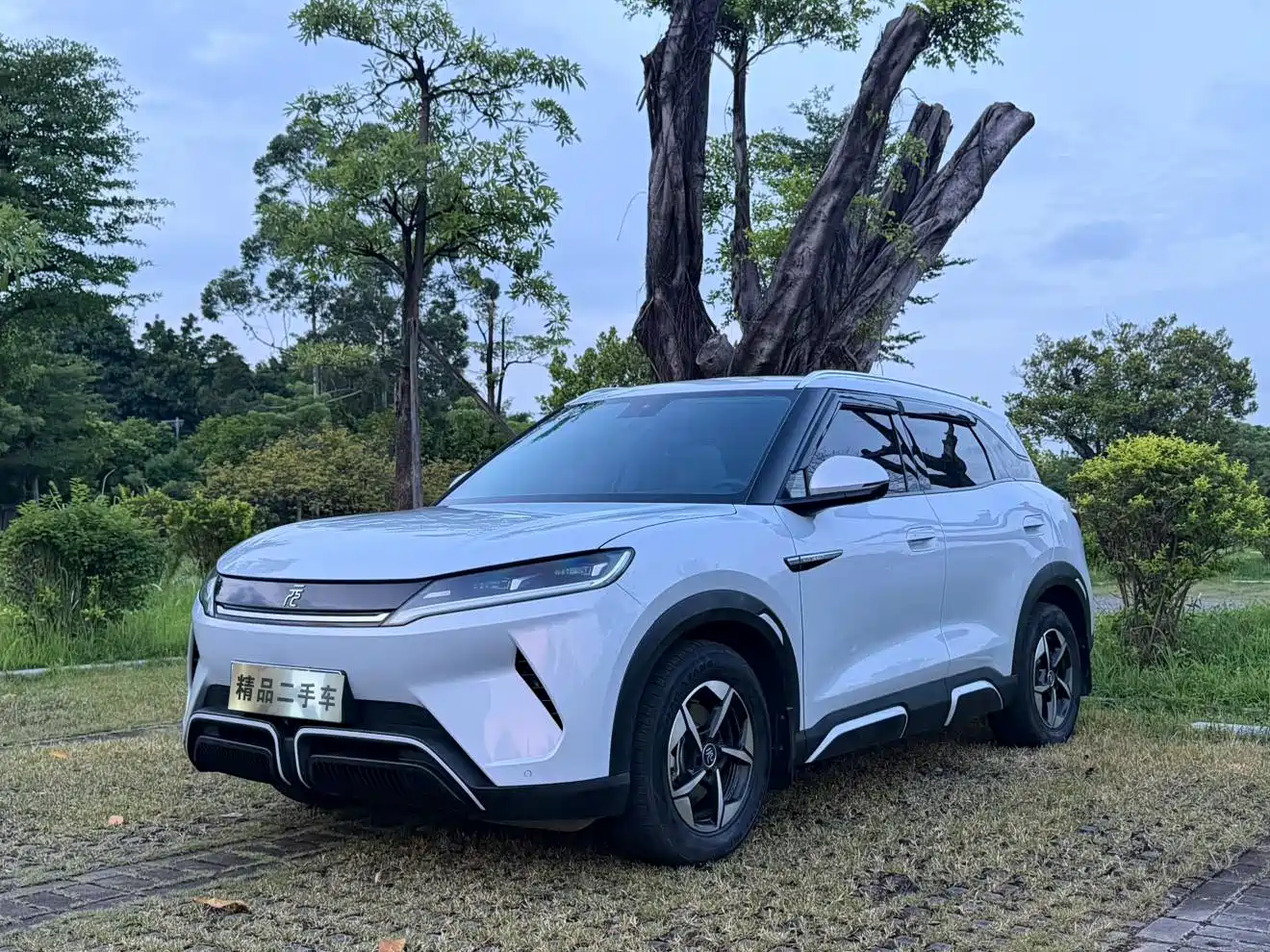 BYD Yuan UP 2024