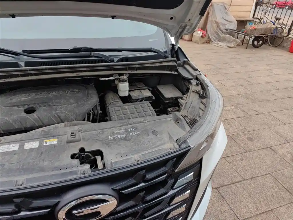 GAC Trumpchi Trumpchi M6 2021 PRO 270T DCT Premium Edition фото 22