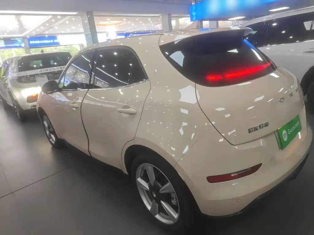 Ora Good Cat 2024 2023 401km Standard Range Luxury LFP