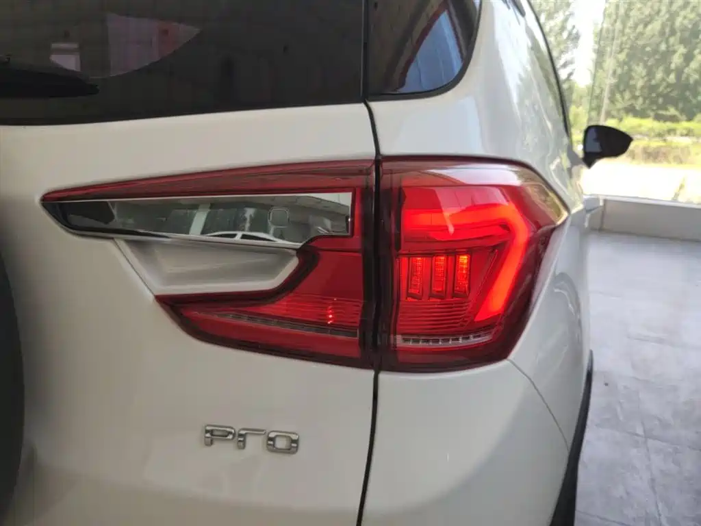 BYD Yuan Pro 2021 401KM Premium Model фото 8