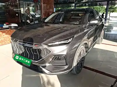 Changan Oshan X5