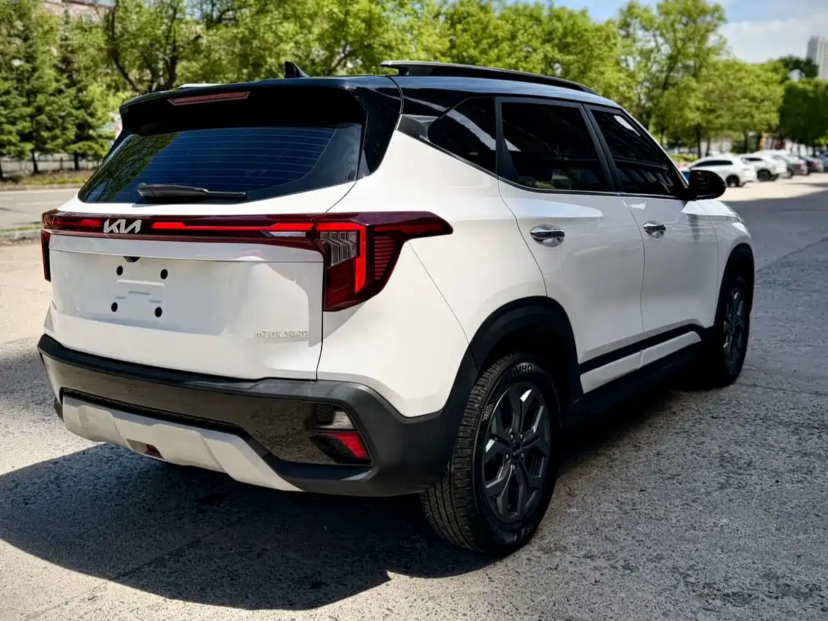 Kia Seltos 2023 1.5L CVT Luxury Edition фото 6