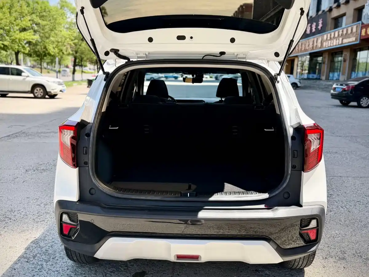 Kia Seltos 2023 1.5L CVT Luxury Edition фото 14