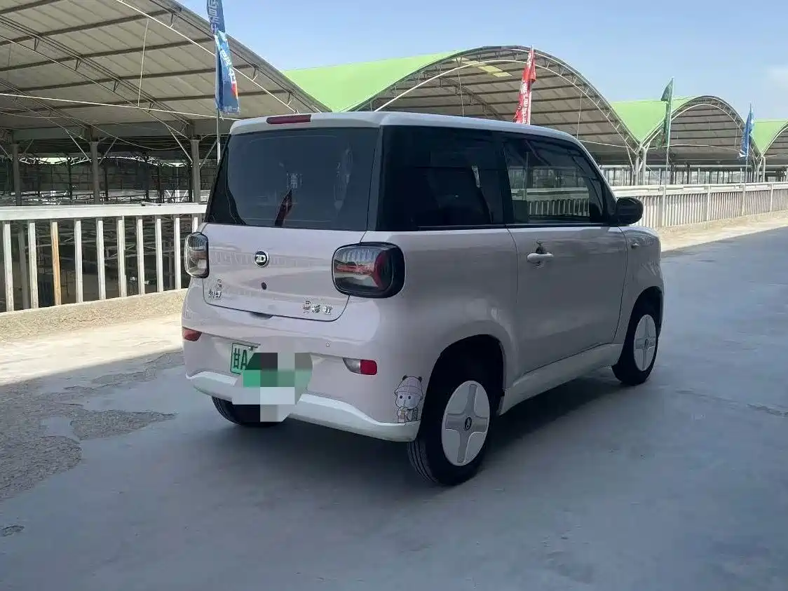 2024 Zhido Rainbow