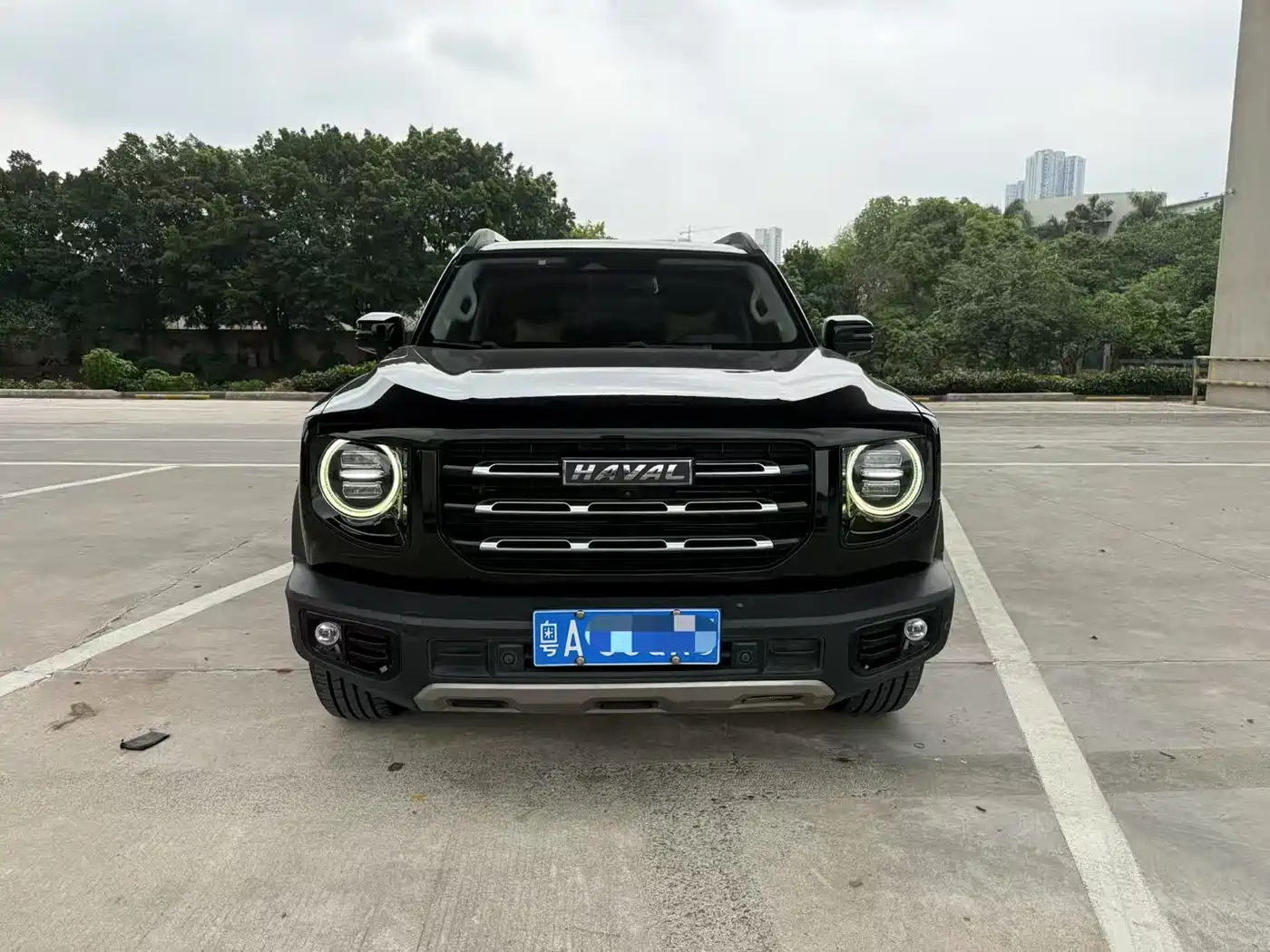 HAVAL BIG DOG