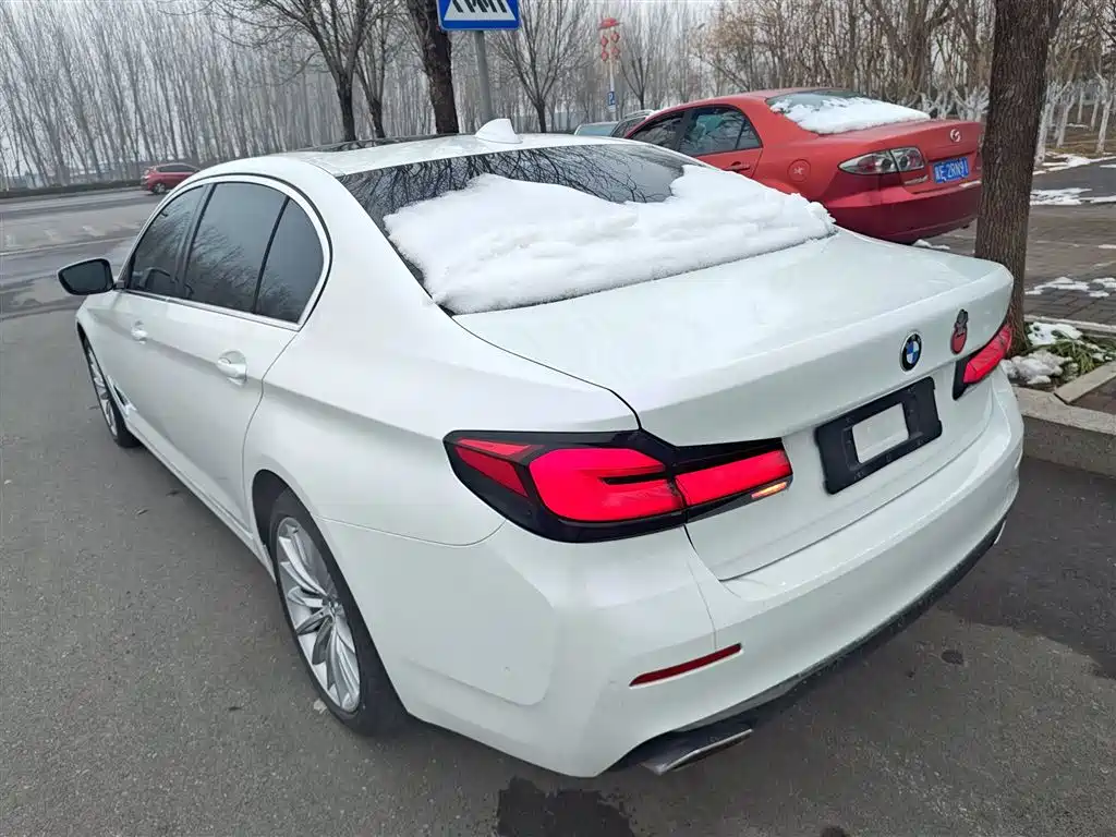 BMW 5 Series 2022 Facelift II 530Li Luxury Trim Premium Package фото 23