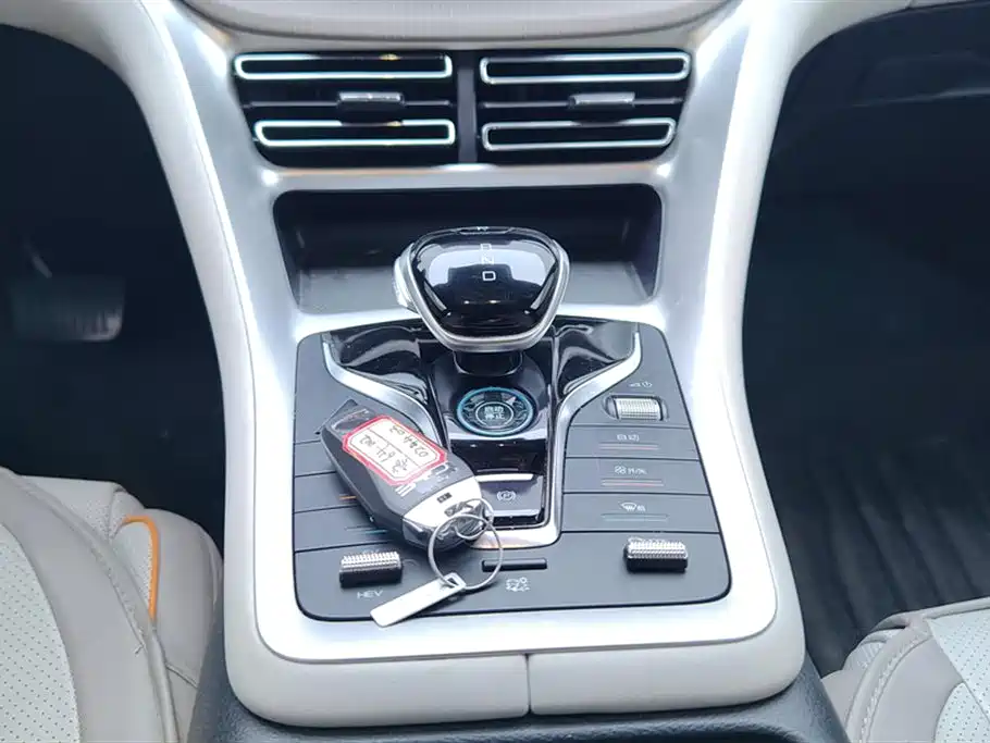 BYD Song Pro New Energy 2024 Glory Edition DM-i 110KM Excellence фото 16